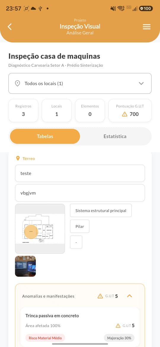 Análise geral de uma inspeção visual no app DIAVICON