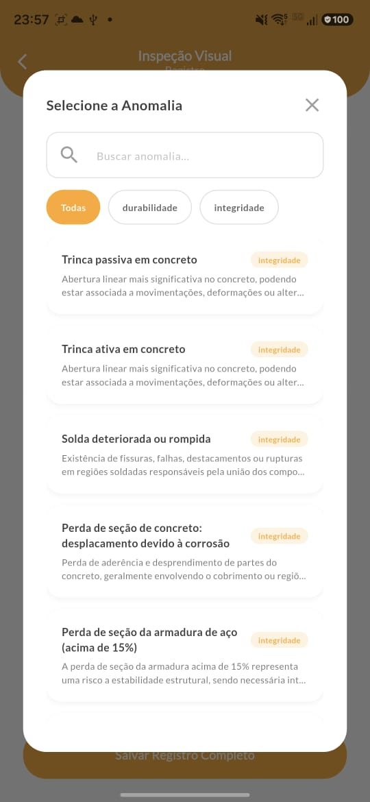 Catálogo de anomalias da inspeção visual no app DIAVICON